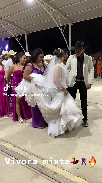 Bailes de Huapango: La Víbora de la Mar en Bodas