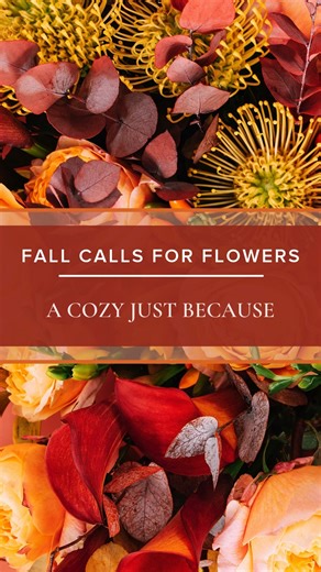 18 reactions | Fall calls for flowers!  Whether it’s a cozy just-because, a birthday this season, or a romantic gesture, there’s always a reason to send a fresh floral arrangement. Brighten their routine, thank the host, or mark a fresh start, because fall feels warmer with flowers.  | Moravian Florist | Facebook