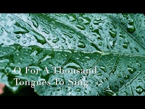 250 SDA Hymn - O For A Thousand Tongues To Sing (Singing w/ Lyrics)