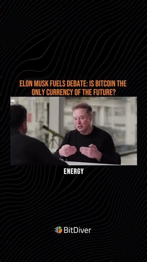 Elon Musk: Bitcoin May Become the Only Future Money — ‘It’s Energy-Based, Physics-Based