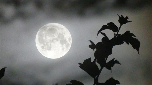 Is there a full moon tonight? December 2025 cold moon meaning, today's moon phase
