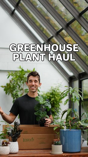 13 comments | Greenhouse plant haul  Now that the gardening season...