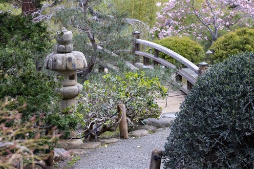 R50 Review: Small and capable, but with limitations