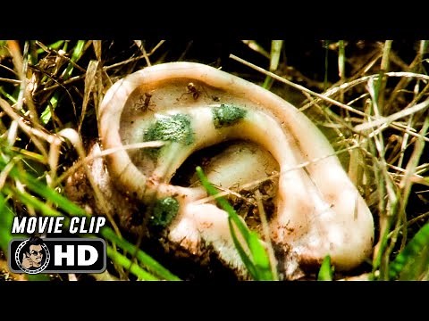 Ear Scene | BLUE VELVET (1986) Movie CLIP HD