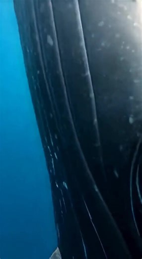 Saving a Life One Clean Twist at a Time