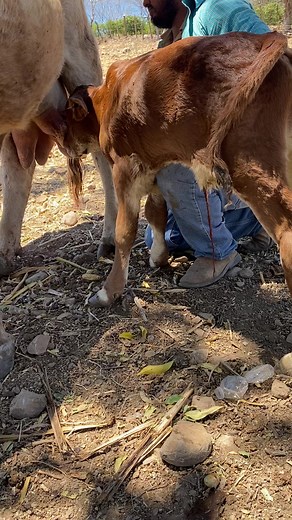 Videos de Aidet (@chinita435) con “sonido original - Mathias Souza”