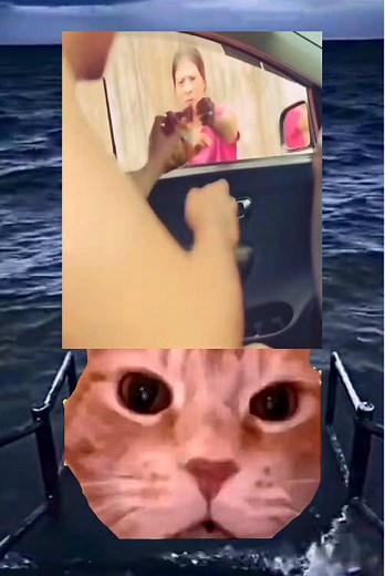 #cat #catmeme #meme #cats #catsoftiktok #catlover #cattok #catlovers #funny #video #laugh #laughing #reaction #viral #viralvideo #viraltiktok #trend #trendingvideo #dontlaughchallenge #lol #trending #trendy #trends #trendingtiktok #trendtiktok #trendtiktok #viral_video #viralvideos #viralditiktok #viralvideotiktok #f #fy #fyp #fypシ #fypシ゚viral #fyppppppppppppppppppppppp #fypdongggggggg #fypage #fypp #fyy #fyyyyyyyyyyyyyyyy #fo #foryou #foryoupage #foryourpage #fouryou #wow #omg #wtf #what #tf #m