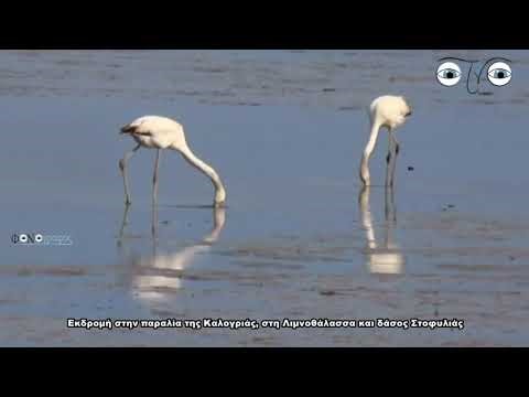 Εκδρομή στον παράαδεισο της Αχαΐας