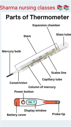 parts of thermometer 🌡️🌡️ ## education nursing classes 📚📚##