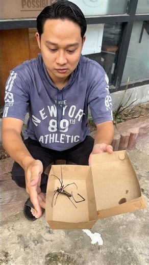 Do you guys dare to be like a spider? #davidsunairi #comedy #warungds #villagechildren #minivlog ...