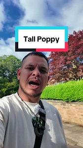 Everyone’s talking on it, so I thought I’d throw my five cents in #tallpoppy