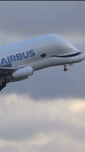 Best take off the air bus #flight #Aviation #AviationLovers #AviationDaily #AviationWorld #AviationPhotography #AviationLife #PilotLife #PlaneSpotting #PlaneSpotter #AirplaneMode #AviationGeek #Aviators #Aircraft #AircraftLovers #Flight #Flying #InTheSky | CouldNine Airways