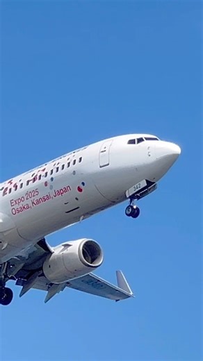 羽田空港スポッティング #aircraftlanding #hanedaairport #jal #b737 #spotting #aircraft #aviation