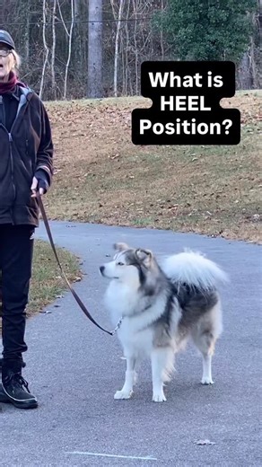 瑩 What is HEEL Position? Heel Position is the desired location for...