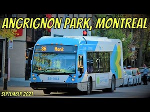 Transit Around Parc Angrignon | STM & Exo Buses (September 2021)