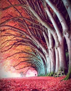 October song Amy Winehouse | Laps of music