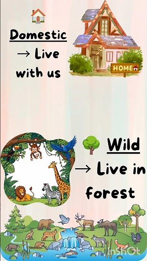 🐕 Domestic and Wild Animals | Learn with Fun for Kids 🐯