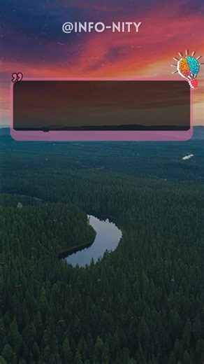 4.5K views · 286 reactions | General Knowledge Quiz Trivia #quiz #quiztime #trivia #generalknowledge #learn #trivia #usa #UK #viral #usafacebook | Info-nity | Facebook