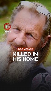 18K views · 852 reactions | eople living in the small Far North community of Panguru are being warned to stay away from stray dogs. It follows a 69-year-old man being mauled to death by a pack of dogs. Professional dog trainers say the dogs' upbringing might have contributed to the vicious attack.  Find out more: https://bit.ly/1News_DogAttack_050822 | 1News | Facebook