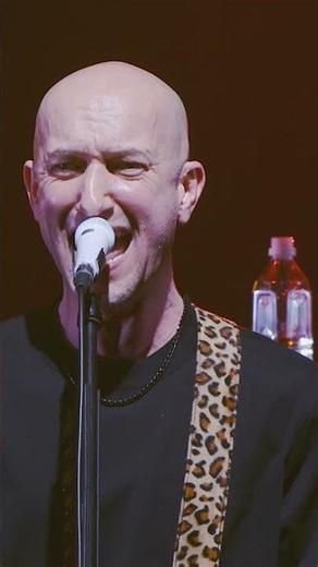 12/27 アニバーサリーライブ「25&FOREVER」開催まであと5日 #monkeymajik #モンキーマジック #虹色の魚 #anniversarylive