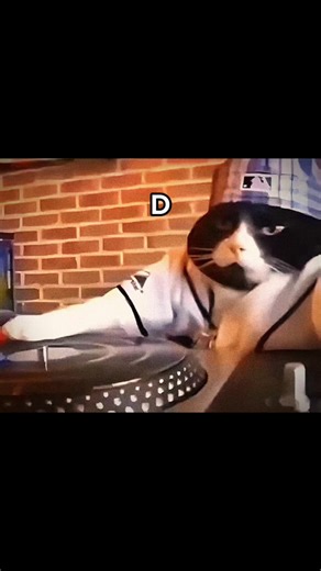 Creeping thru da woods - sematary #sematary #hauntedmound #fyp #cat #edit