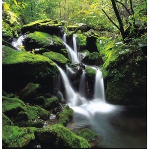 Dramatic Play Activities With a Jungle Theme | Synonym