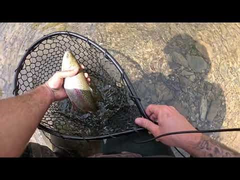Trout fishing Trout Creek, in Slatington PA.