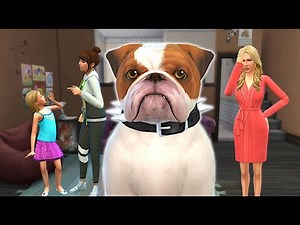 Can a family survive on a dog’s income?