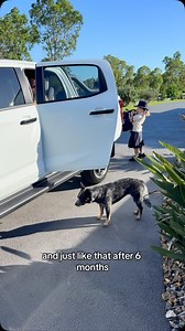 10K views · 40 reactions | Old mate turns 36  | Irene Clements | Facebook