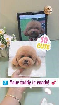 Felted by Sophia — I’ll teach you how to make a small teddy. Wool-felt needle felting, pet memorial.