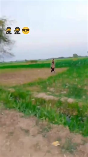 Basketball Skills and Techniques for Beginners