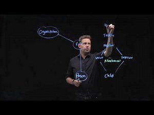 Systems Psychodynamic Coaching - The PRO+ Framework and Attachment Theory