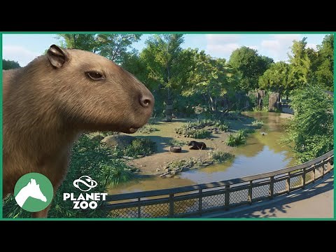 Capybara & Baird's Tapir Habitat | Elm Hill City Zoo | Planet Zoo