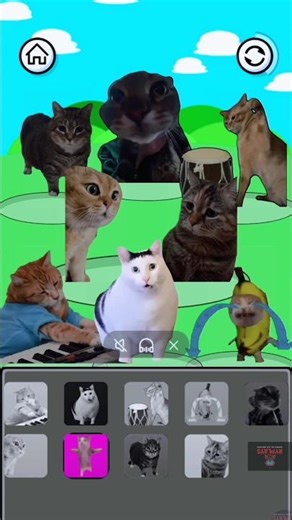 ​I Replaced Every Sprunki Phase with CAT MEMES... (Unbelievable!)