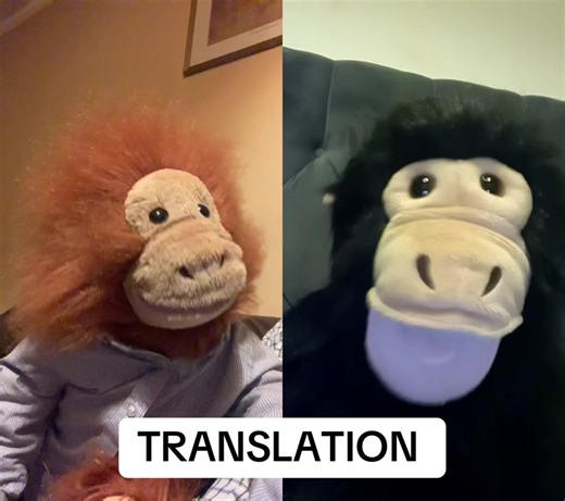 #duet with @isambard #puppet