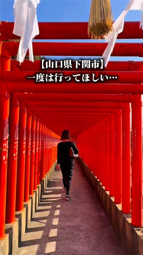 やまＱちゃん🔍 下関グルメ／北九州 グルメ・観光・旅 on Instagram: "坂を登った先にある… 「海と朱の絶景神社」 下関市 豊浦町 福岡や北九州から、 角島方面に行く時にぜひ立ち寄ってほしい 絶景スポット✨ 川棚温泉からは 車で15分くらい🚗 古歌に 「長門なる稲荷の山の姫あやめ時ならずして如月に咲く」 と詠まれているほど由緒の古い社 朱色の千本鳥居が海へと続く… まるで異世界への入り口のような トンネルを抜けると、 響灘の絶景が待ってるよ🌊 朱色の鳥居と 海のコントラストがステキで、 特に夕暮れ時は圧巻 「開運鳥居」とも呼ばれていて、 ご利益もたくさんな 映えスポット ぜひ行ってみてね🥰 ────────────── 福徳稲荷神社 📍 山口県下関市豊浦町大字宇賀２９６０ ☎️ 083-776-0125 🅿️ あり ────────────── 下関グルメ/観光/spot など発信してます フォローはコチラ⬇️ @yama_q_chan 【保存】しておくと後で見返せるよ♪ いいね、コメント 嬉しいです🥰 北九州グルメはコチラがメイン⬇️🐢 @moshimos