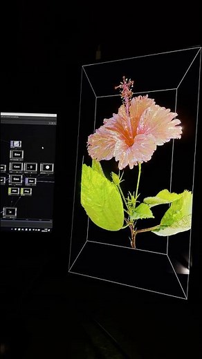 The Cycle of a “Flower” | Touchdesigner