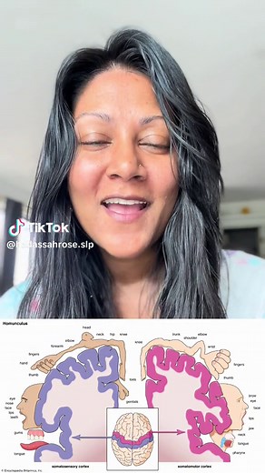 Have you ever heard of the homunculus? 🤩 The homunculus is an extraordinary part of the brain that maps the entire body of motor and somatosensory function within two cortical strips found in the frontal and parietal lobes. 💎 When we see deficits in motor and sensory function, we can determine where lesions are in the homunculus and provide a focused beginning point for our rehab techniques. 🧠 Lesions can come from strokes, brain damage through toxicology, traumatic brain injury and neurodege