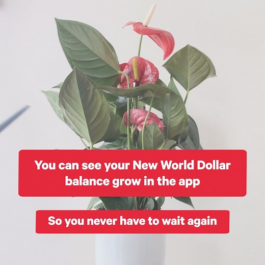 197 reactions · 6 comments | No more waiting, now you can see your New World Dollar balance after every shop Simply download the New World app and keep scanning your Clubcard to watch your balance grow 華 Clubcard members who have chosen to earn New World Dollars and purchase qualifying products. Details at newworld.co.nz/clubcardfaq | New World | Facebook