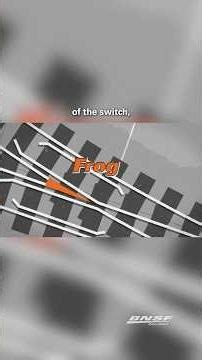 Movable Point Frogs 🐸