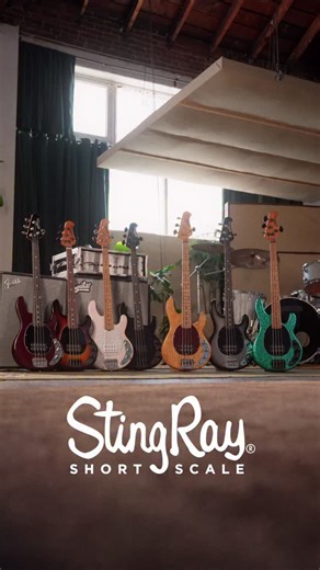 @derekfrankbass picks up the pace on the Ernie Ball Short Scale StingRay. Check out his killer demo of the parallel mode (position one) on the stunning Dazzler Finish. | Ernie Ball Music Man