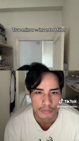 Explore the True Mirror Inverted Filter Effects