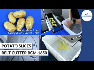 Machine Cutting Potato Slices | Vegetable Slicing Machine BCM-1650
