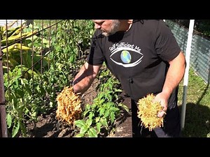 What happens when you use mulch in the garden?