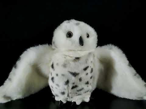 Snowy Owl Puppet by Folkmanis (Free to use clip)