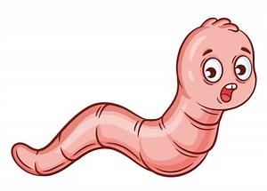 Did it rain worms in China? (video)