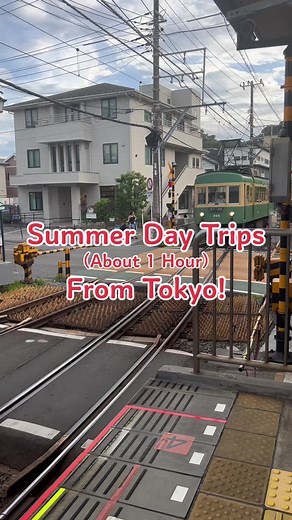 Exploring TUJ Owls in Japan | Temple University Vlog