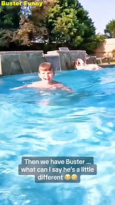 10K views · 234 reactions | Buster the Rockstar Lab Shines in His Latest Longer Video Longer video, bigger vibes!  Watch Buster rock out like the superstar he is — tail wags, zoomies, and all! | Buster Funny | Facebook