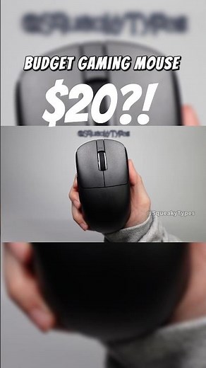 BEST $20 Budget Gaming Mouse?! VXE R1 SE / SE+ #mouse #gaming #wireless
