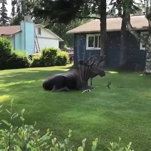 117K views · 443 reactions |  You know it’s hot when.......  https://www.canadamemes.com | Canada Memes | Facebook